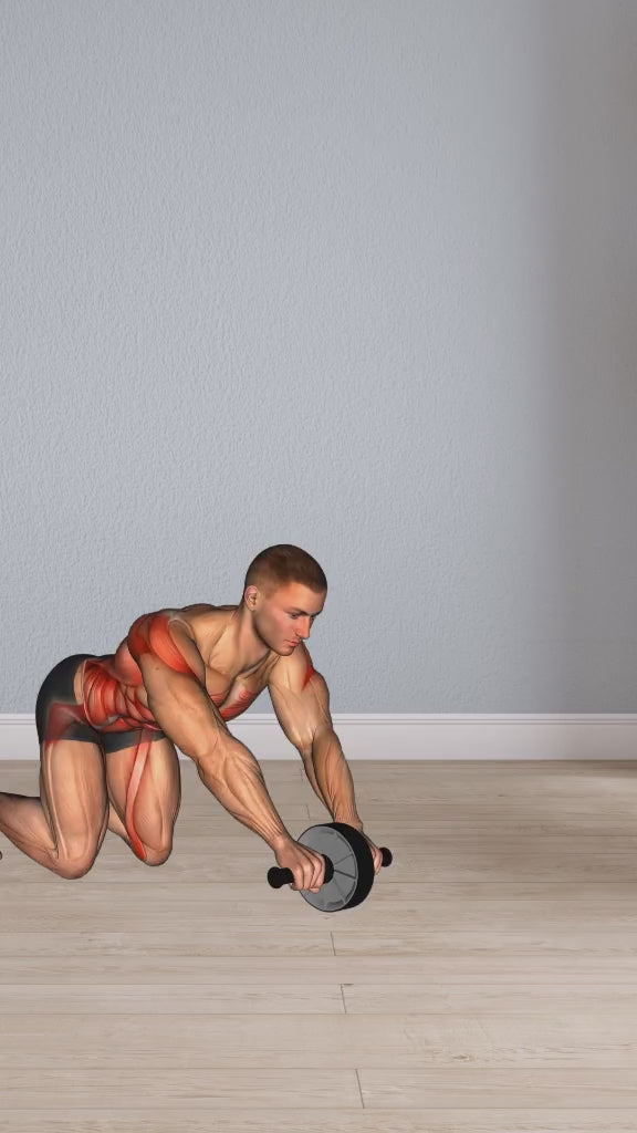 Rueda Abdominal + tapete